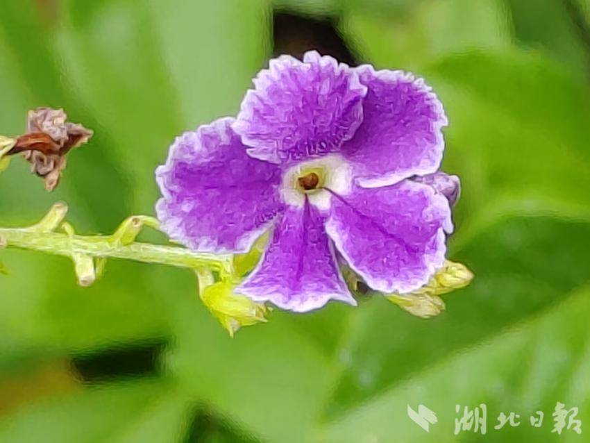 爆大奖注册送56元网址